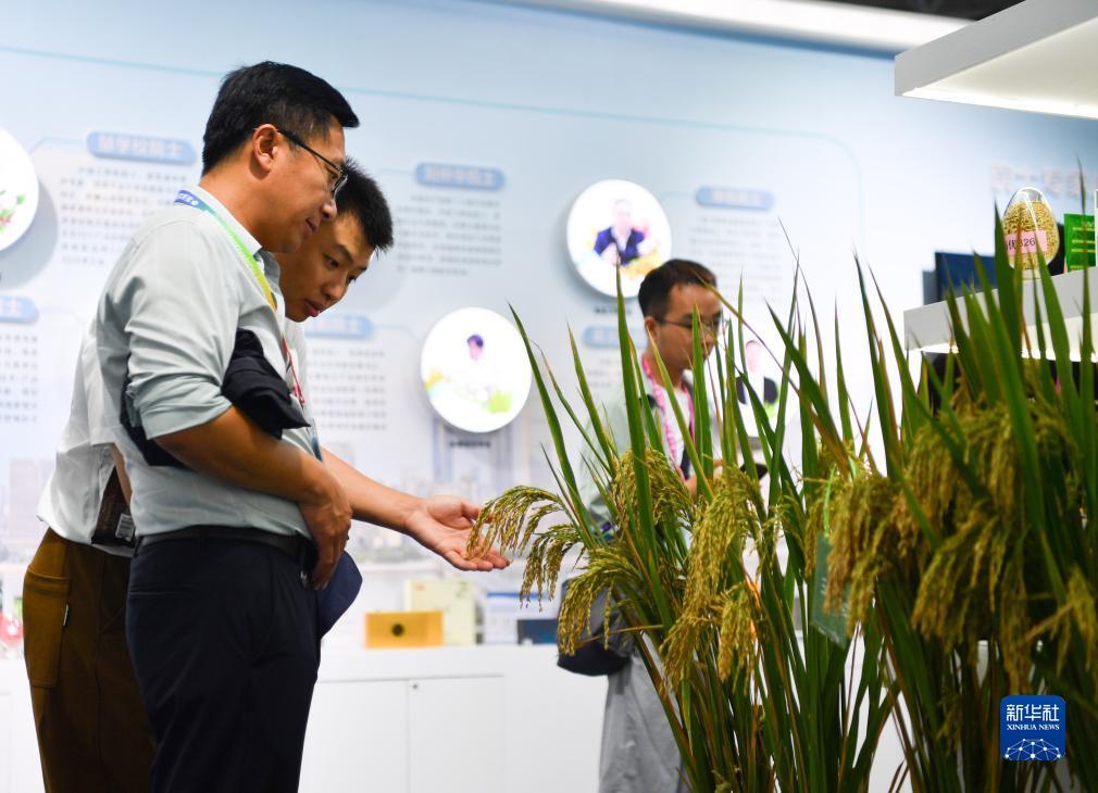 37wan游戏平台下载